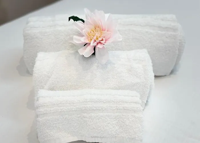 Perlage House -appartamento In Centro A 200 Mt Da Porta Camollia A Piano Terra Con Entrata Indipendente - Parcheggi Disponibili - Apartment Siena